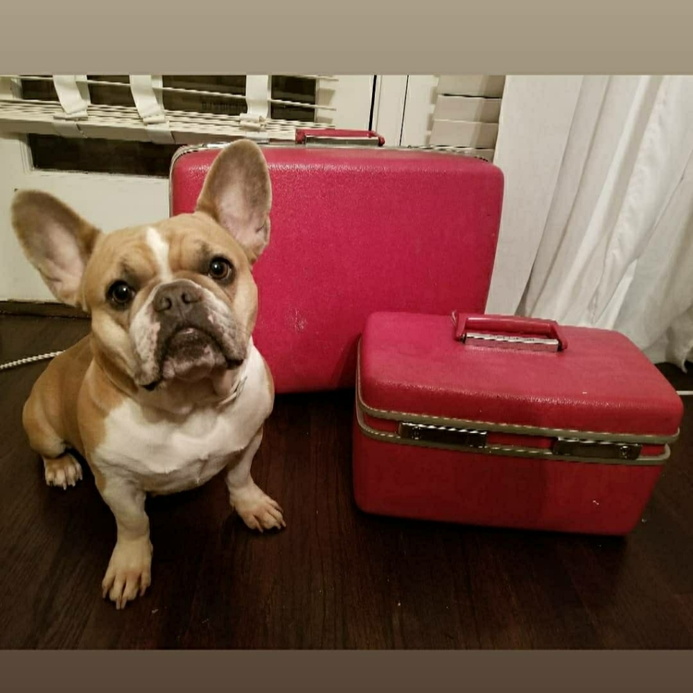Vintage Royal Traveler suitcase & traincase set